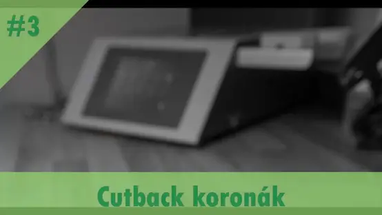 CARES Tutorial #3 Cutback koronák